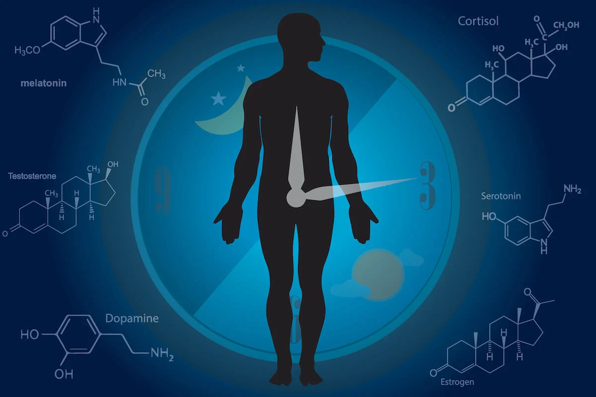 How can you unlock the power of your bio-clock for health and well-being?