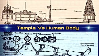 What secrets does "Unlocking Temple Visits" reveal?